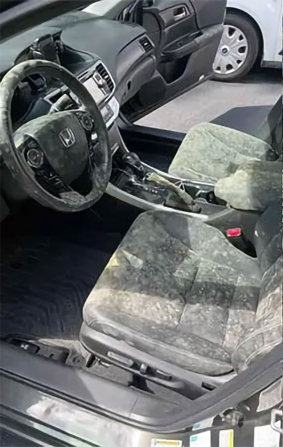 Car Detailing